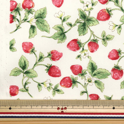 [5부터 시작하는 수량] 천・원단 "넓은 딸기 아이보리 KTS7090-A" COTTON KOBAYASHI