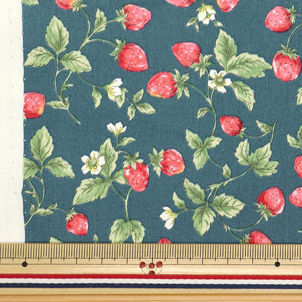 [Quantity starting from 5] Fabric "Broad Strawberry Navy KTS7090-E" COTTON KOBAYASHI