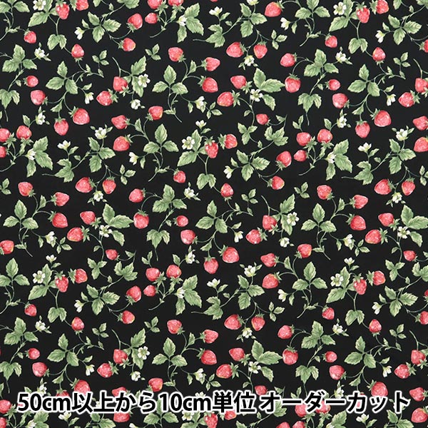 [Quantity starting from 5] Fabric "Broad Strawberry Black KTS7090-F" COTTON KOBAYASHI