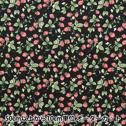 [Quantity starting from 5] Fabric "Broad Strawberry Black KTS7090-F" COTTON KOBAYASHI