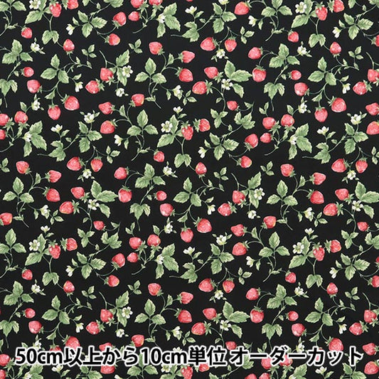 [Quantity starting from 5] Fabric "Broad Strawberry Black KTS7090-F" COTTON KOBAYASHI