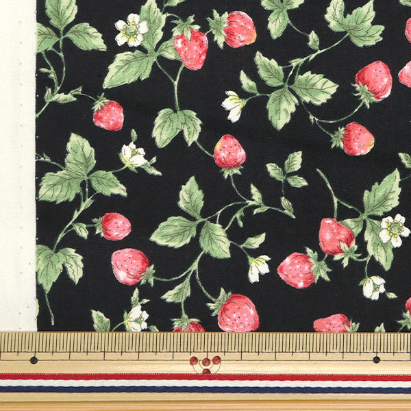 [Quantity starting from 5] Fabric "Broad Strawberry Black KTS7090-F" COTTON KOBAYASHI
