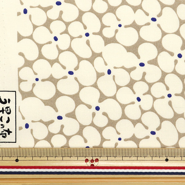 [Quantity starting from 5] Fabric "Usako's Cloth Broad Propeller Beige x White UP5940-E" COTTON KOBAYASHI