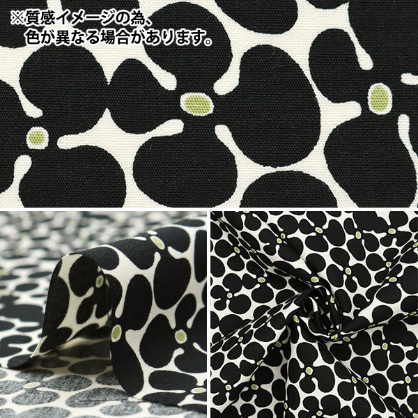 [Quantity starting from 5] Fabric "Usako's Cloth Broad Propeller Beige x White UP5940-E" COTTON KOBAYASHI