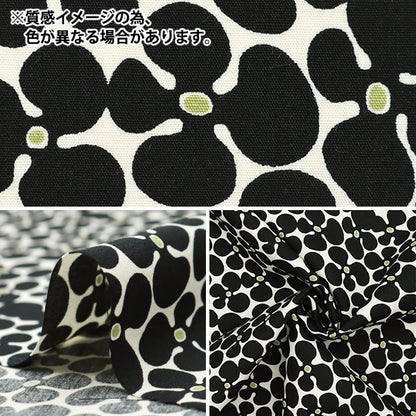 [Quantity starting from 5] Fabric "Usako's Cloth Broad Propeller Beige x White UP5940-E" COTTON KOBAYASHI