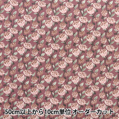 [5부터 시작하는 수량] 천・원단 "Broad는 Pink KTS7077-A를 가지고 있습니다" COTTON KOBAYASHI