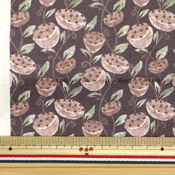 [Quantity starting from 5] Fabric "Broad Hasu Mauve KTS7077-D" COTTON KOBAYASHI