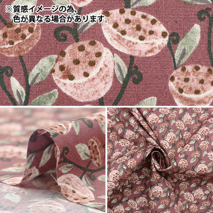 [Quantity starting from 5] Fabric "Broad Hasu Mauve KTS7077-D" COTTON KOBAYASHI
