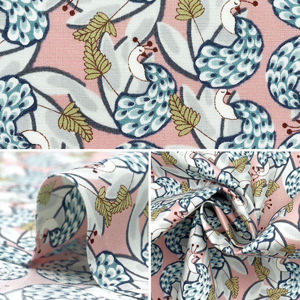 [Quantity starting from 5] Fabric "Broad Kujaku Pink Background KTS7100-A" COTTON KOBAYASHI