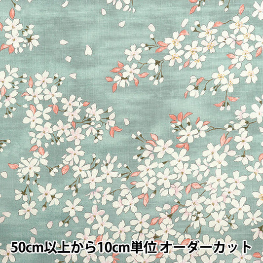 [Quantité à partir de 5] Tissu "Southern Cross Sakura Sakura Match Couleur d'eau claire KTS6850-C" COTTON KOBAYASHI