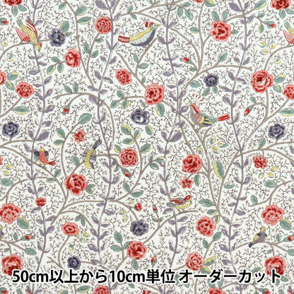 [Quantità a partire da 5] Tessuto "Broad Antique Rose Bird Sarasa Red Rose KTS7099-A" COTTON KOBAYASHI
