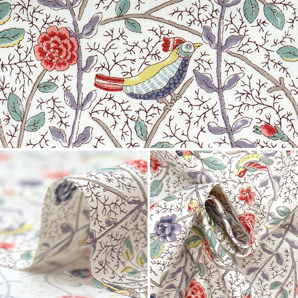 [Quantità a partire da 5] Tessuto "Broad Antique Rose Bird Sarasa Red Rose KTS7099-A" COTTON KOBAYASHI