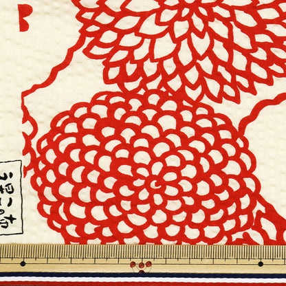 [Quantity starting from 5] Fabric "Usako fabric Ripple print deco ivory x red UP5948-A" COTTON KOBAYASHI