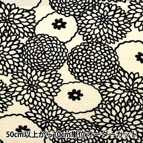 [Quantity starting from 5] Fabric "Usako fabric Ripple print deco ivory x black UP5948-B" COTTON KOBAYASHI