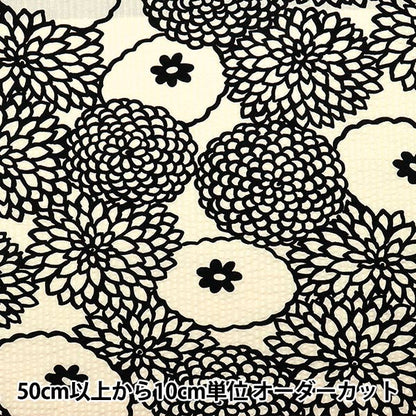 [Quantity starting from 5] Fabric "Usako fabric Ripple print deco ivory x black UP5948-B" COTTON KOBAYASHI