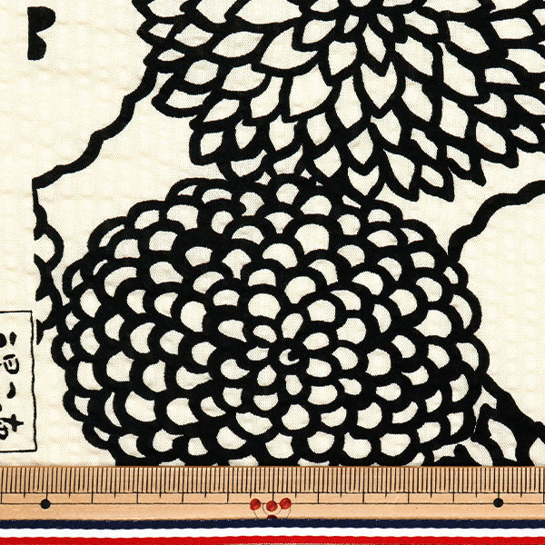 [Quantity starting from 5] Fabric "Usako fabric Ripple print deco ivory x black UP5948-B" COTTON KOBAYASHI