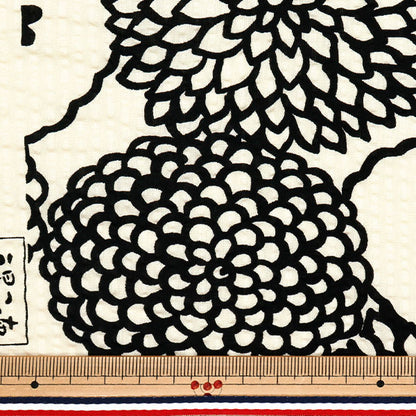 [Quantity starting from 5] Fabric "Usako fabric Ripple print deco ivory x black UP5948-B" COTTON KOBAYASHI
