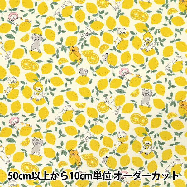 [Quantity starting from 5] Fabric "Broad Lemon Cat Ivory KTS7121-A" COTTON KOBAYASHI