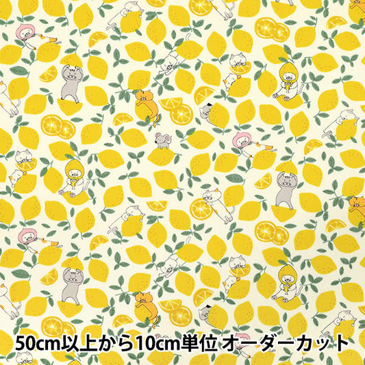[Quantity starting from 5] Fabric "Broad Lemon Cat Ivory KTS7121-A" COTTON KOBAYASHI