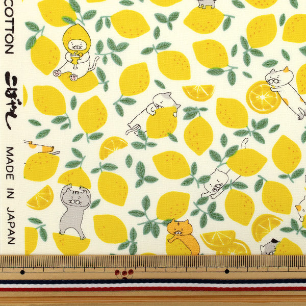 [Quantity starting from 5] Fabric "Broad Lemon Cat Ivory KTS7121-A" COTTON KOBAYASHI