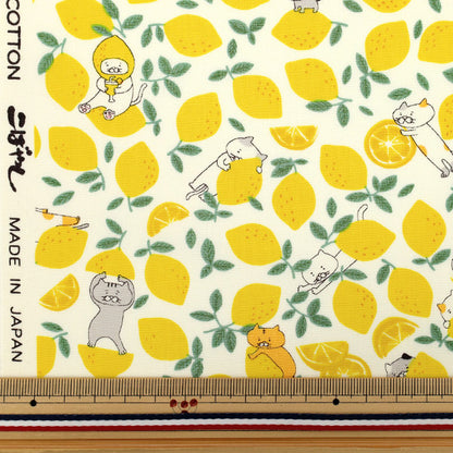 [Quantity starting from 5] Fabric "Broad Lemon Cat Ivory KTS7121-A" COTTON KOBAYASHI