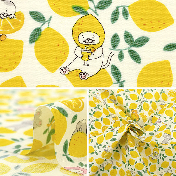 [Quantity starting from 5] Fabric "Broad Lemon Cat Ivory KTS7121-A" COTTON KOBAYASHI