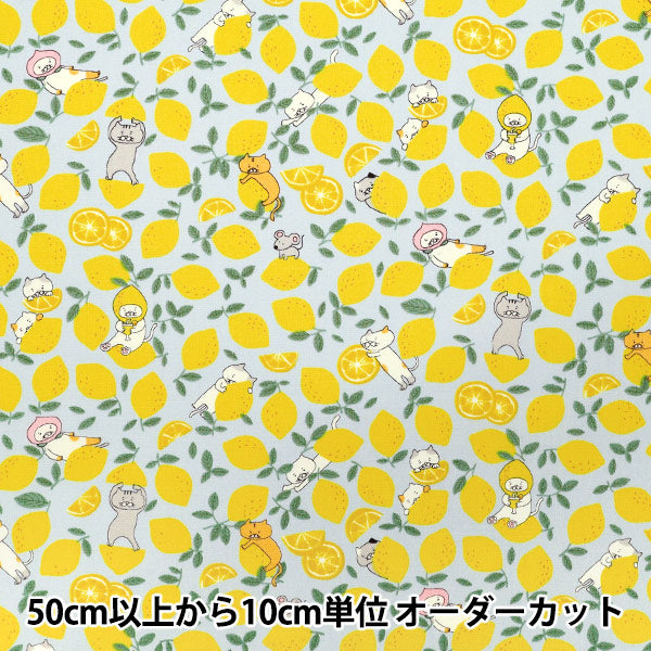 [Quantity starting from 5] Fabric "Broad Lemon Cat Sax KTS7121-C" COTTON KOBAYASHI
