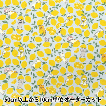 [Quantity starting from 5] Fabric "Broad Lemon Cat Sax KTS7121-C" COTTON KOBAYASHI