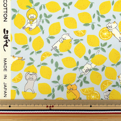 [Quantity starting from 5] Fabric "Broad Lemon Cat Sax KTS7121-C" COTTON KOBAYASHI