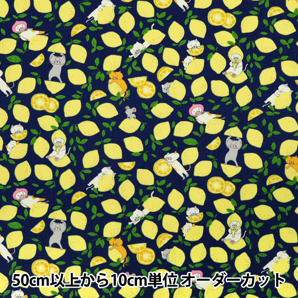 [Quantity starting from 5] Fabric "Broad Lemon Cat Navy KTS7121-D" COTTON KOBAYASHI