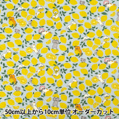 【数量5から】 生地 『リップルプリント レモンねこ ミズイロ KTS7184-A』 COTTON KOBAYASHI コットンこばやし 小林繊維