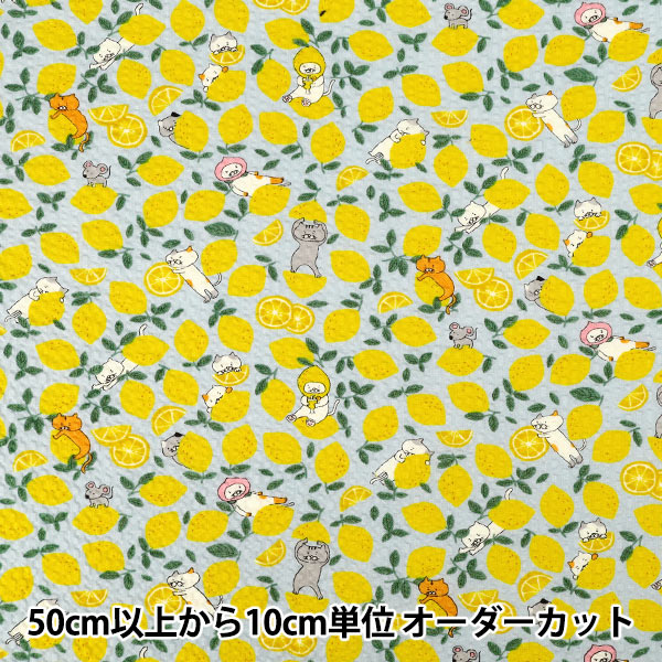 【数量5から】 生地 『リップルプリント レモンねこ ミズイロ KTS7184-A』 COTTON KOBAYASHI コットンこばやし 小林繊維