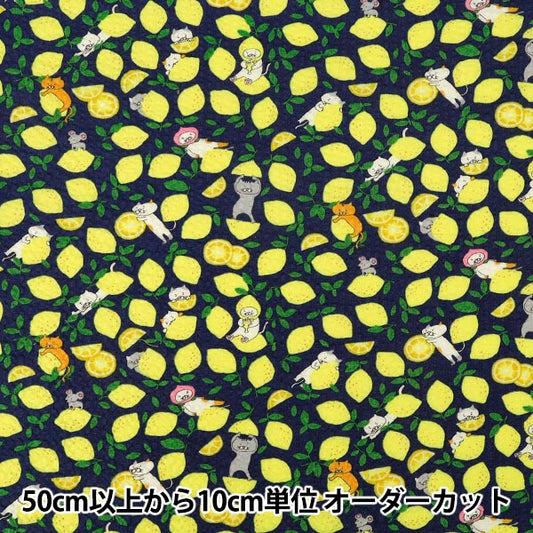 [Anzahl ab 5] Stoff "„Ripple Print Lemon Cat Navy KTS7185-A“ COTTON KOBAYASHI