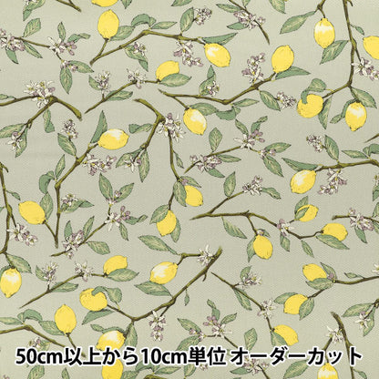 【数量5から】 生地 『ツイル 枝付きレモン グリーン KTS7172-D』 COTTON KOBAYASHI コットンこばやし 小林繊維