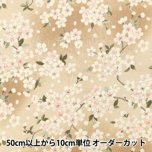 【数量5起】織物 "南十字樱自然KTS7148-A” COTTON KOBAYASHI