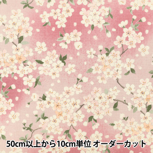 【数量5起】織物 "南十字樱花粉红色KTS7148-B” COTTON KOBAYASHI