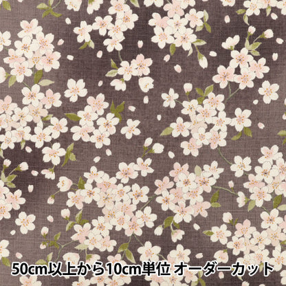 [Quantità da 5]Tessuto "Southern Cross Cherry Blossom viola scuro KTS7148-D” COTTON KOBAYASHI