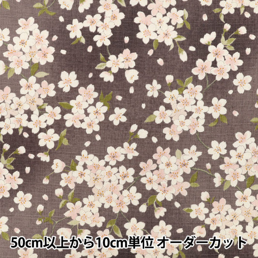 【数量5起】織物 "南十字樱花深紫色KTS7148-D’ COTTON KOBAYASHI