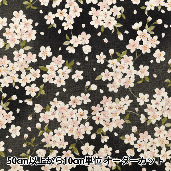 [Quantità da 5]Tessuto "Croce del Sud Fiore di Ciliegio Nero KTS7148-F” COTTON KOBAYASHI
