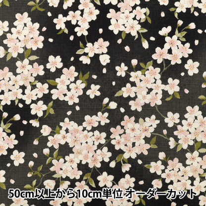 [Quantità da 5]Tessuto "Croce del Sud Fiore di Ciliegio Nero KTS7148-F” COTTON KOBAYASHI