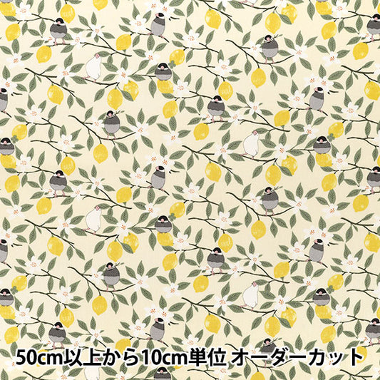 [Anzahl ab 5] Stoff "„Twill Sparrow und Lemon Ivory KTS7202-A“ COTTON KOBAYASHI