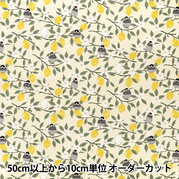 【数量5から】 生地 『ツイル 文鳥とレモン アイボリー KTS7202-A』 COTTON KOBAYASHI コットンこばやし 小林繊維