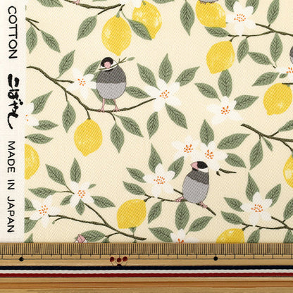 [Quantità da 5] Tessuto "Twill Passero e Limone Avorio KTS7202-A” COTTON KOBAYASHI