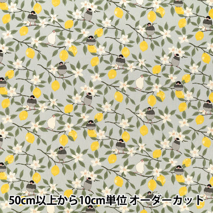 [Quantità da 5] Tessuto "Twill passero e blu limone KTS7202-C” COTTON KOBAYASHI