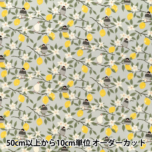 【数量5から】 生地 『ツイル 文鳥とレモン ブルー KTS7202-C』 COTTON KOBAYASHI コットンこばやし 小林繊維