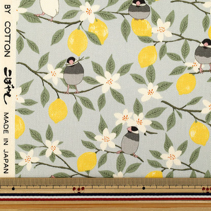 [Quantità da 5] Tessuto "Twill passero e blu limone KTS7202-C” COTTON KOBAYASHI