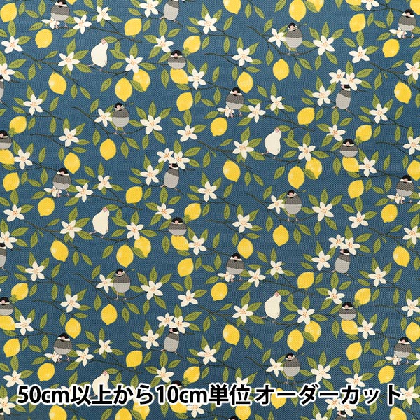 [Quantità da 5] Tessuto "Twill passero e limone navy KTS7202-F” COTTON KOBAYASHI