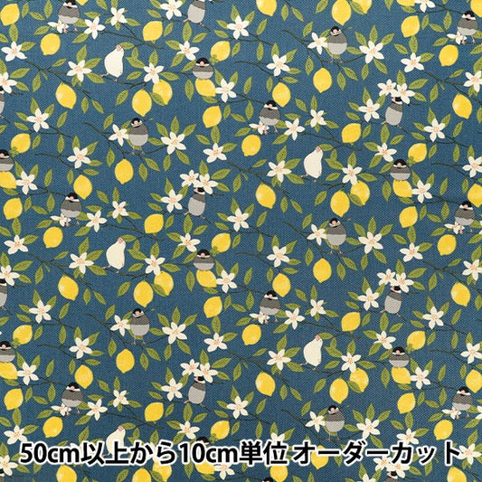 [Anzahl ab 5] Stoff "Twill „Spatz“ und „Zitronenblau“ KTS7202-F“ COTTON KOBAYASHI