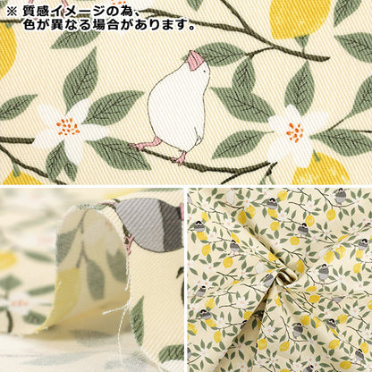 [Quantità da 5] Tessuto "Twill Passero e Limone Avorio KTS7202-A” COTTON KOBAYASHI