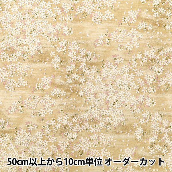 [Quantità da 5] Tessuto "Ampio Sakura Avorio KTS7195-A” COTTON KOBAYASHI